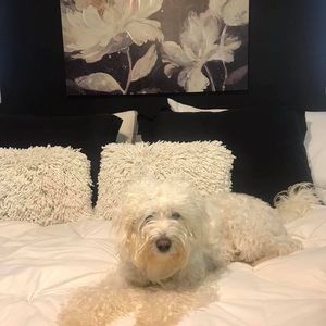 Meet your Posher, Sandra